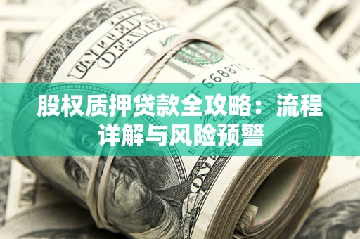 武汉股权质押贷款全攻略：流程详解与风险预警