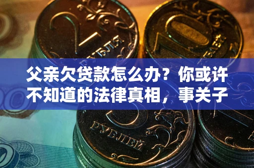 武汉父亲欠贷款怎么办？你或许不知道的法律真相，事关子女未来