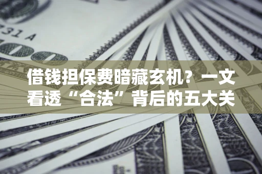 武汉借钱担保费暗藏玄机？一文看透“合法”背后的五大关键陷阱
