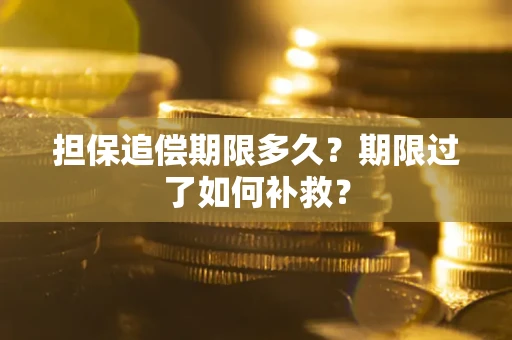武汉担保追偿期限多久？期限过了如何补救？