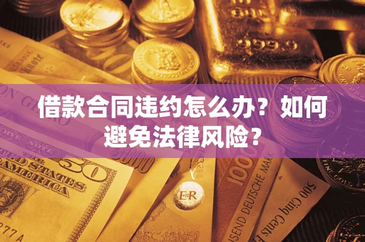 武汉借款合同违约怎么办？如何避免法律风险？