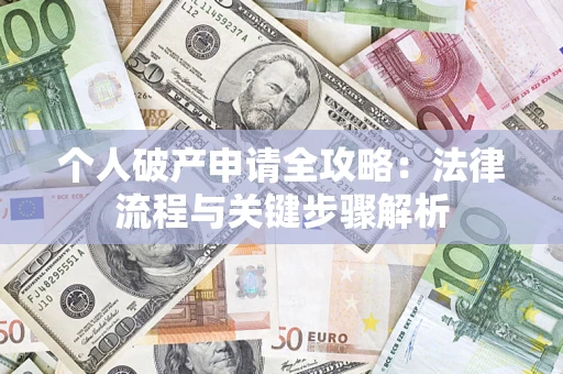 武汉个人破产申请全攻略：法律流程与关键步骤解析