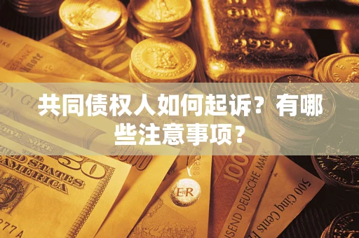 武汉共同债权人如何起诉？有哪些注意事项？